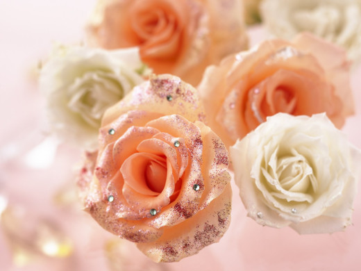 429998 (a): :1600x1200